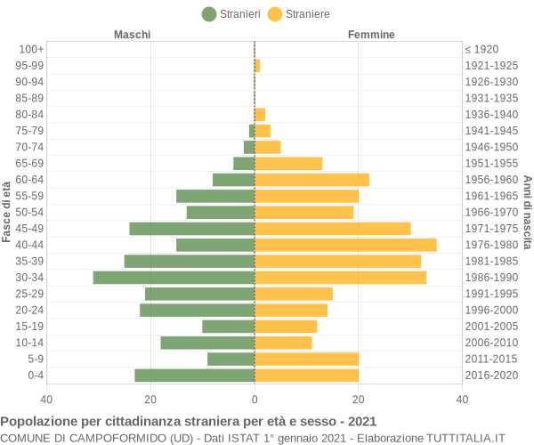 Grafico cittadini stranieri - Campoformido 2021