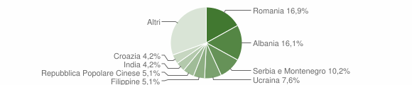 Grafico cittadinanza stranieri - Pagnacco 2007