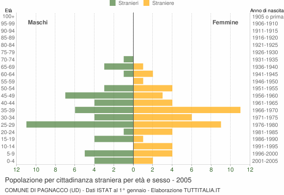 Grafico cittadini stranieri - Pagnacco 2005