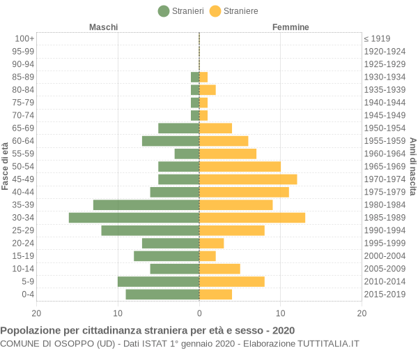 Grafico cittadini stranieri - Osoppo 2020