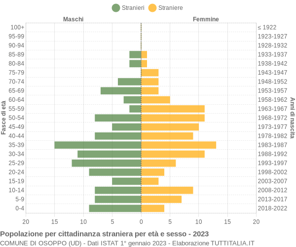 Grafico cittadini stranieri - Osoppo 2023