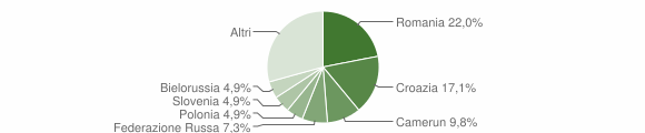 Grafico cittadinanza stranieri - Moruzzo 2006