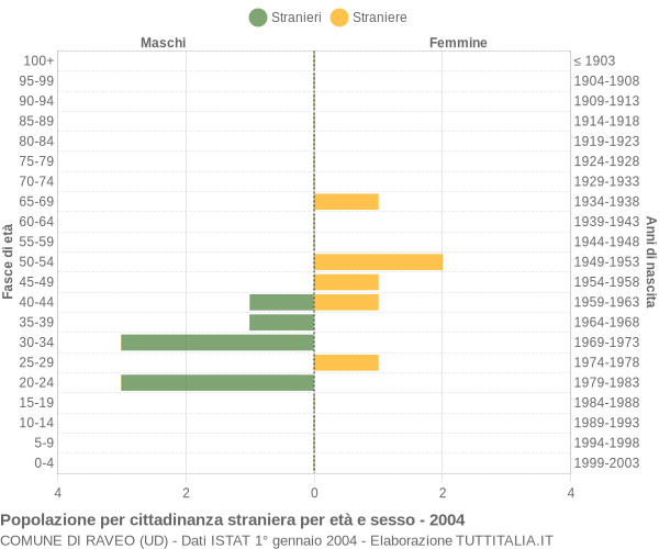 Grafico cittadini stranieri - Raveo 2004