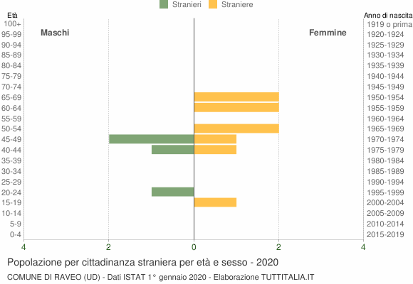 Grafico cittadini stranieri - Raveo 2020