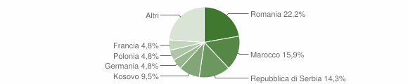 Grafico cittadinanza stranieri - Villa Santina 2011