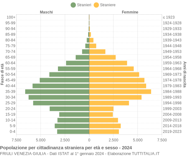 Grafico cittadini stranieri - 2024