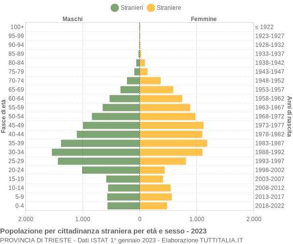 Grafico cittadini stranieri - 2023