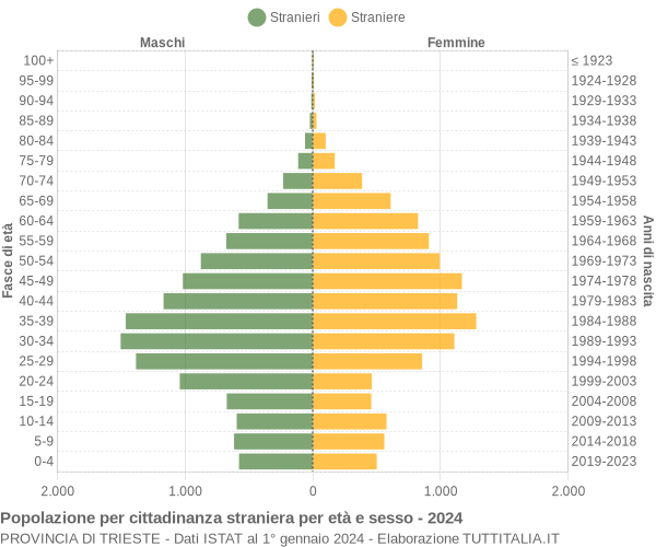 Grafico cittadini stranieri - 2024