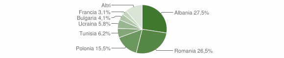 Grafico cittadinanza stranieri - Arce 2010