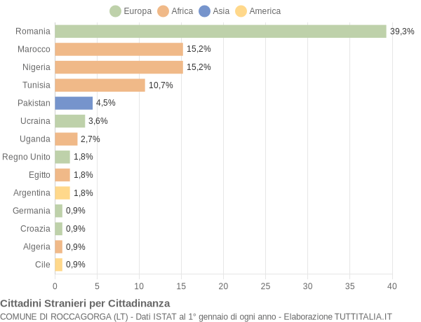 Grafico cittadinanza stranieri - Roccagorga 2004