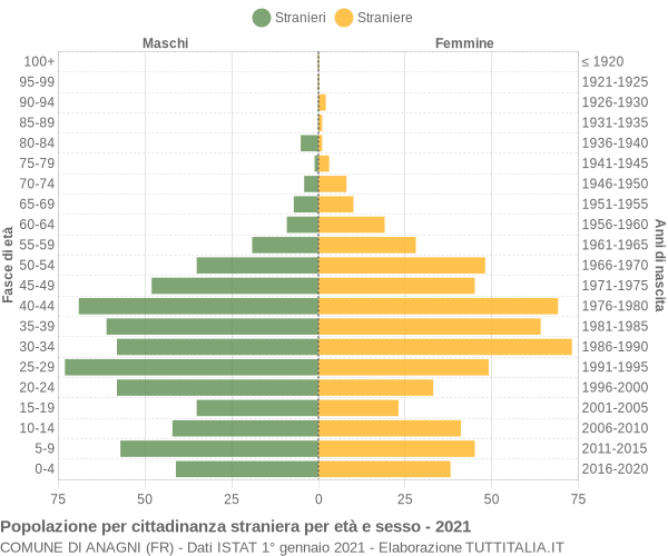 Grafico cittadini stranieri - Anagni 2021