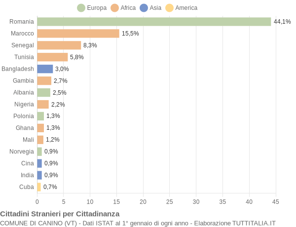 Grafico cittadinanza stranieri - Canino 2018