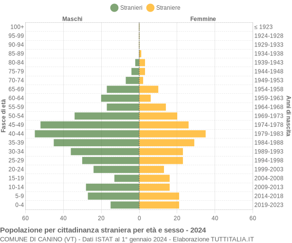 Grafico cittadini stranieri - Canino 2024