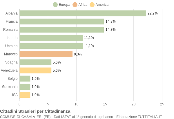 Grafico cittadinanza stranieri - Casalvieri 2007