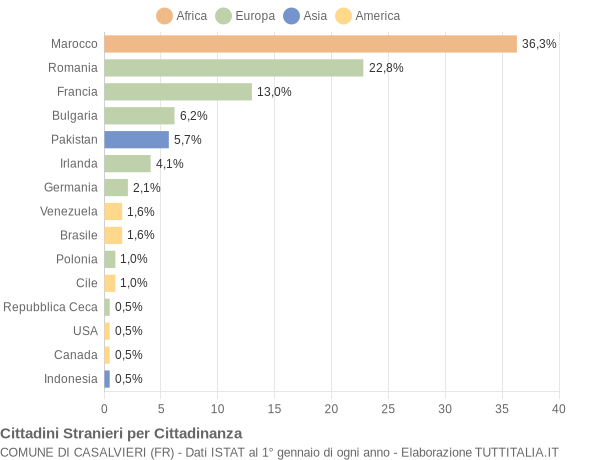 Grafico cittadinanza stranieri - Casalvieri 2018