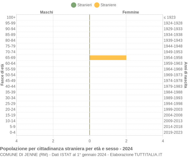 Grafico cittadini stranieri - Jenne 2024