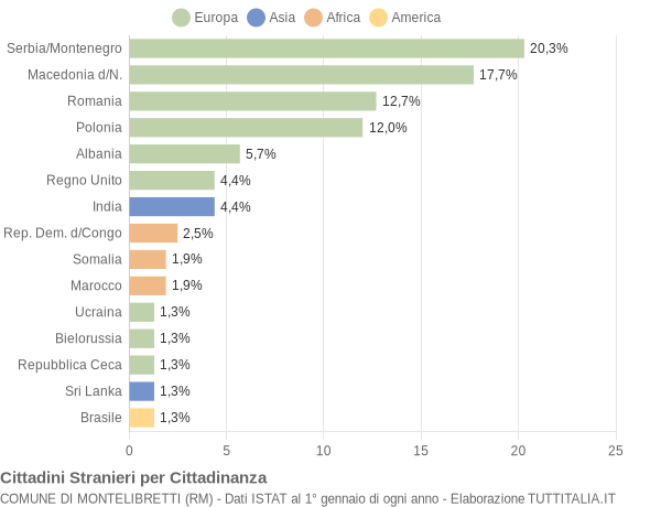 Grafico cittadinanza stranieri - Montelibretti 2004