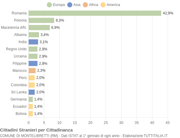 Grafico cittadinanza stranieri - Montelibretti 2010