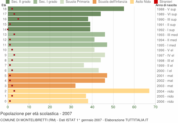 Grafico Popolazione in età scolastica - Montelibretti 2007