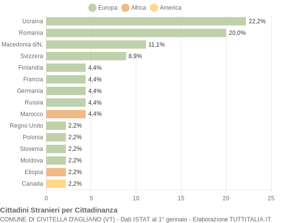 Grafico cittadinanza stranieri - Civitella d'Agliano 2004