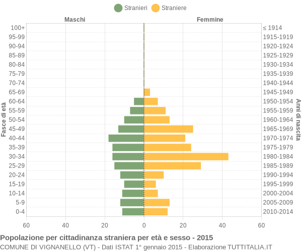 Grafico cittadini stranieri - Vignanello 2015