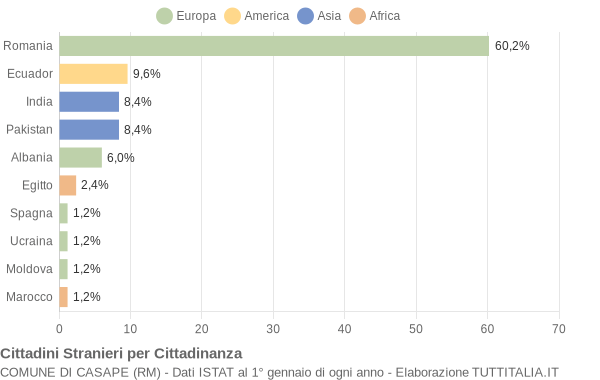 Grafico cittadinanza stranieri - Casape 2009