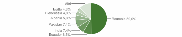 Grafico cittadinanza stranieri - Casape 2010