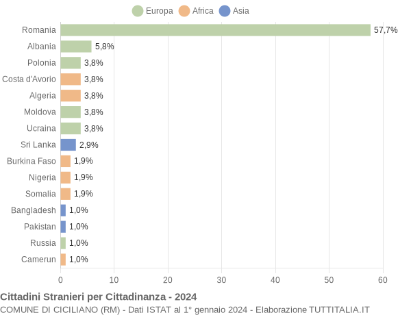 Grafico cittadinanza stranieri - Ciciliano 2024