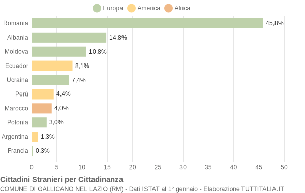 Grafico cittadinanza stranieri - Gallicano nel Lazio 2005