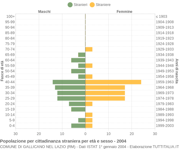 Grafico cittadini stranieri - Gallicano nel Lazio 2004