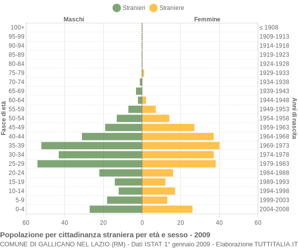 Grafico cittadini stranieri - Gallicano nel Lazio 2009