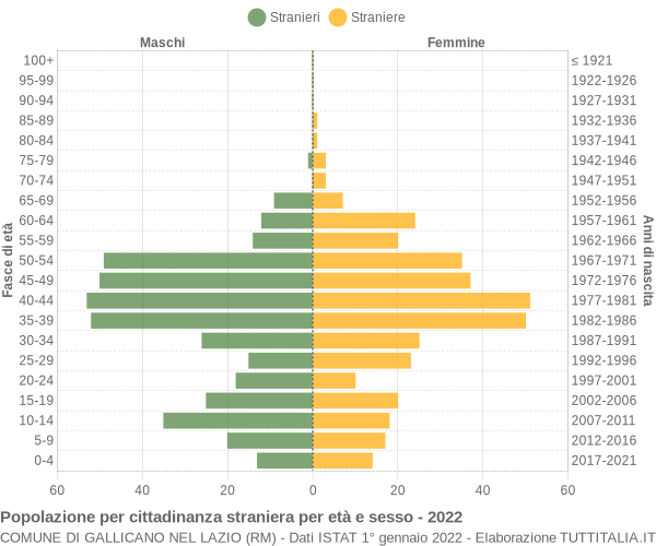 Grafico cittadini stranieri - Gallicano nel Lazio 2022