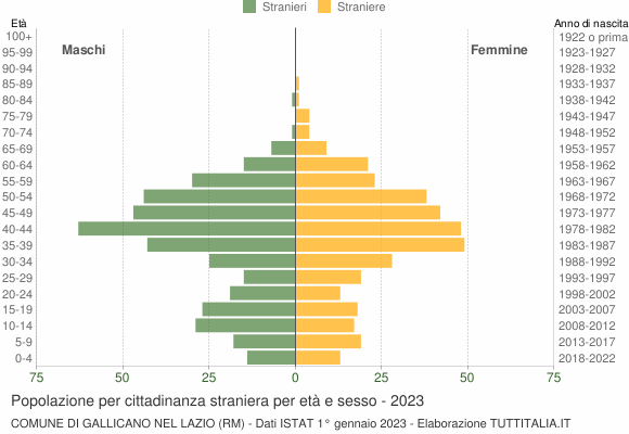 Grafico cittadini stranieri - Gallicano nel Lazio 2023