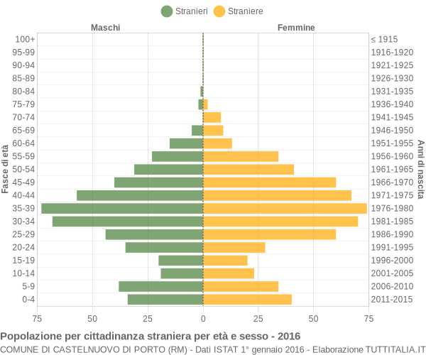 Grafico cittadini stranieri - Castelnuovo di Porto 2016