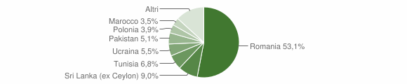 Grafico cittadinanza stranieri - Faleria 2009