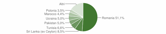 Grafico cittadinanza stranieri - Faleria 2010