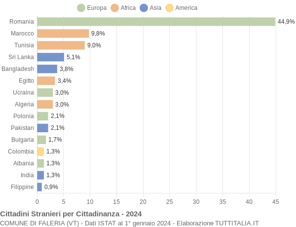 Grafico cittadinanza stranieri - Faleria 2024