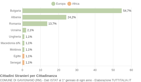 Grafico cittadinanza stranieri - Gavignano 2009