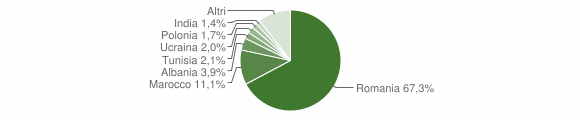 Grafico cittadinanza stranieri - Lariano 2011