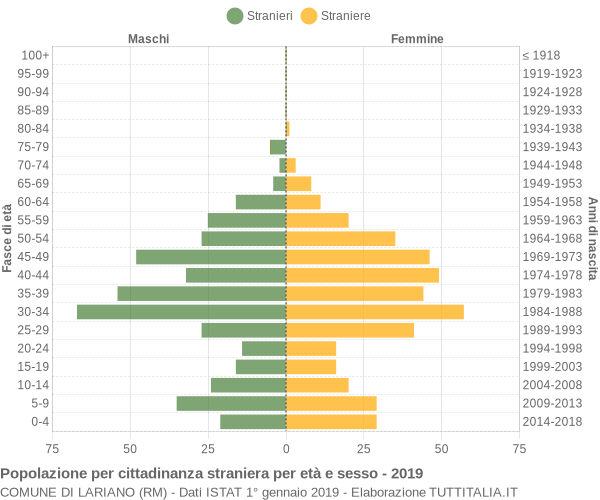 Grafico cittadini stranieri - Lariano 2019