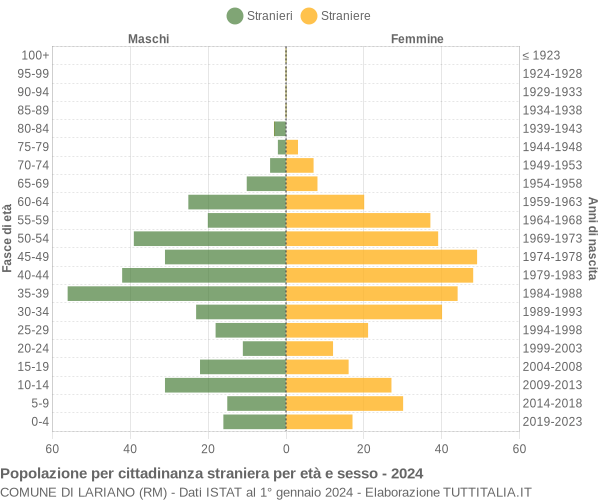 Grafico cittadini stranieri - Lariano 2024