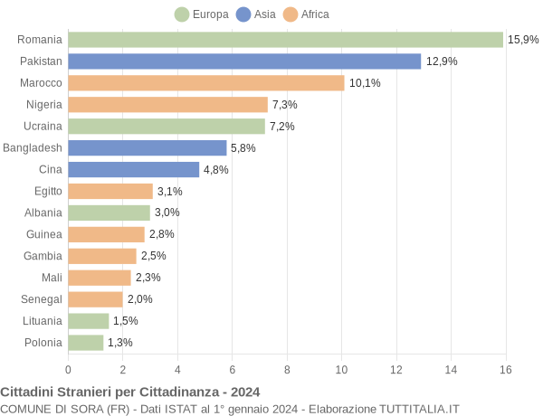 Grafico cittadinanza stranieri - Sora 2024