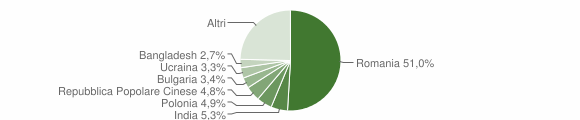 Grafico cittadinanza stranieri - Fiumicino 2013