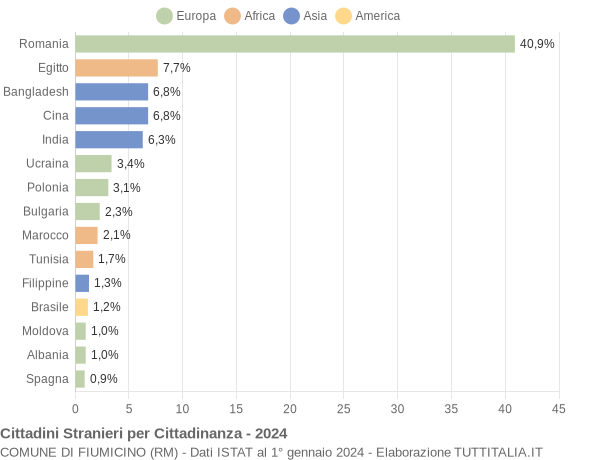 Grafico cittadinanza stranieri - Fiumicino 2024