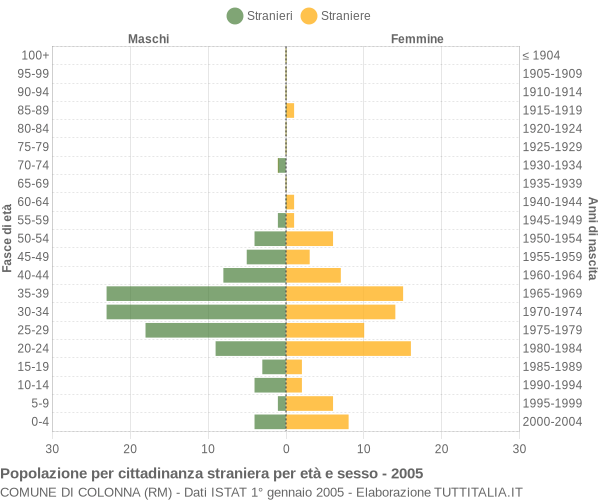 Grafico cittadini stranieri - Colonna 2005