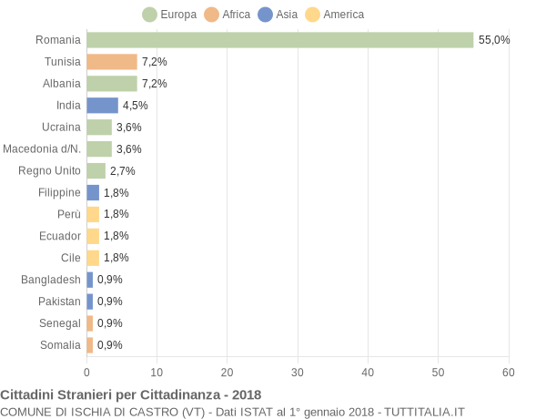 Grafico cittadinanza stranieri - Ischia di Castro 2018