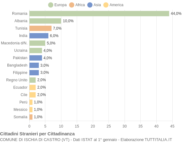 Grafico cittadinanza stranieri - Ischia di Castro 2020