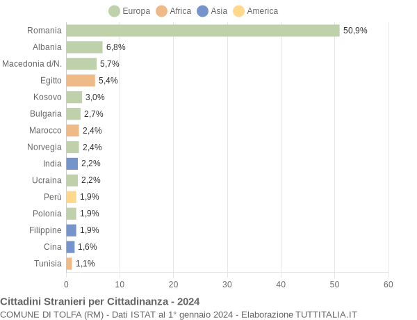 Grafico cittadinanza stranieri - Tolfa 2024