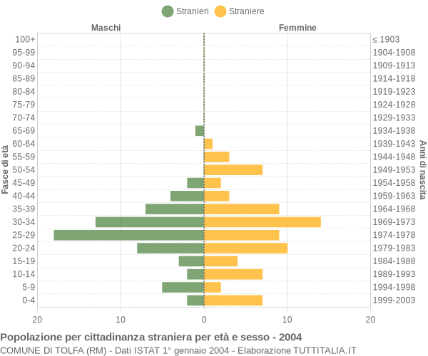 Grafico cittadini stranieri - Tolfa 2004