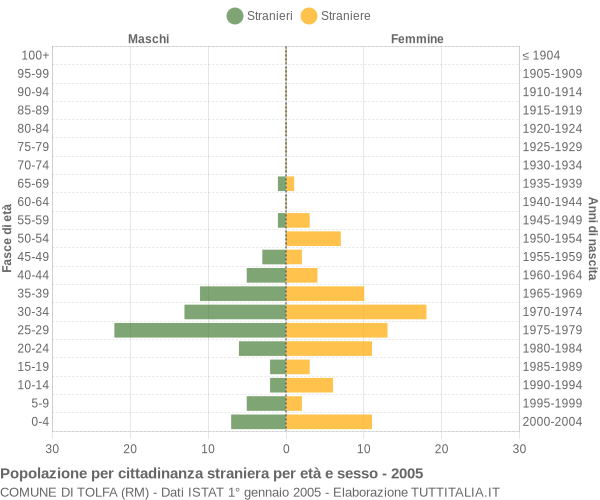 Grafico cittadini stranieri - Tolfa 2005